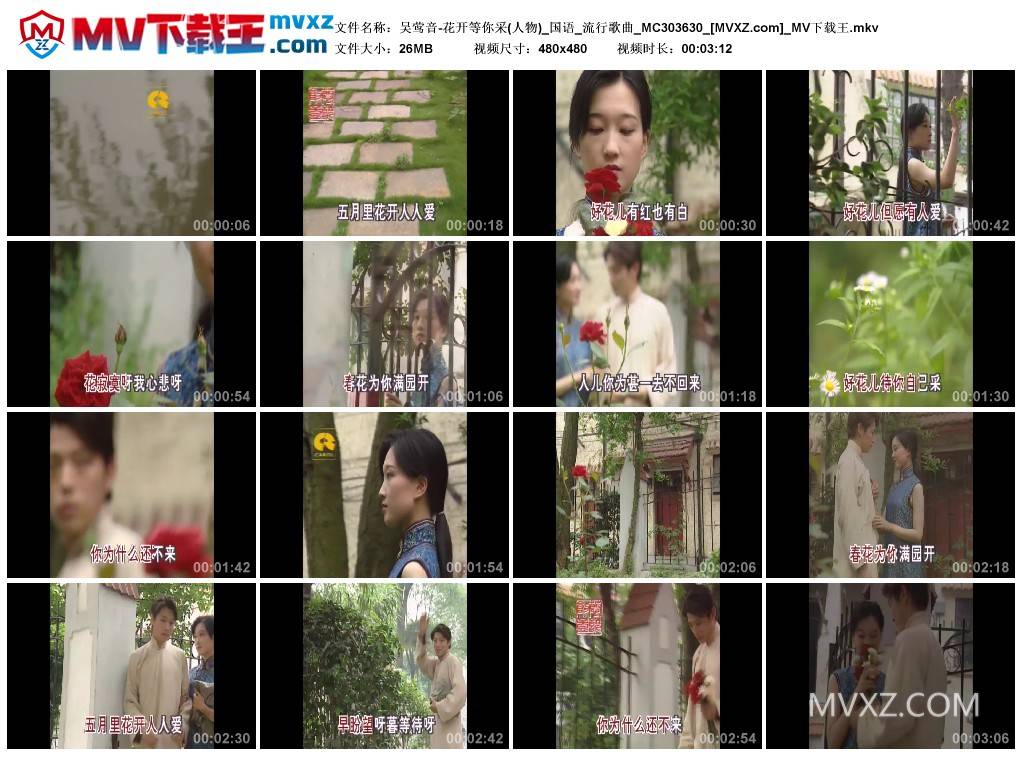 吴莺音-花开等你采(人物)_国语_流行歌曲_MC303630